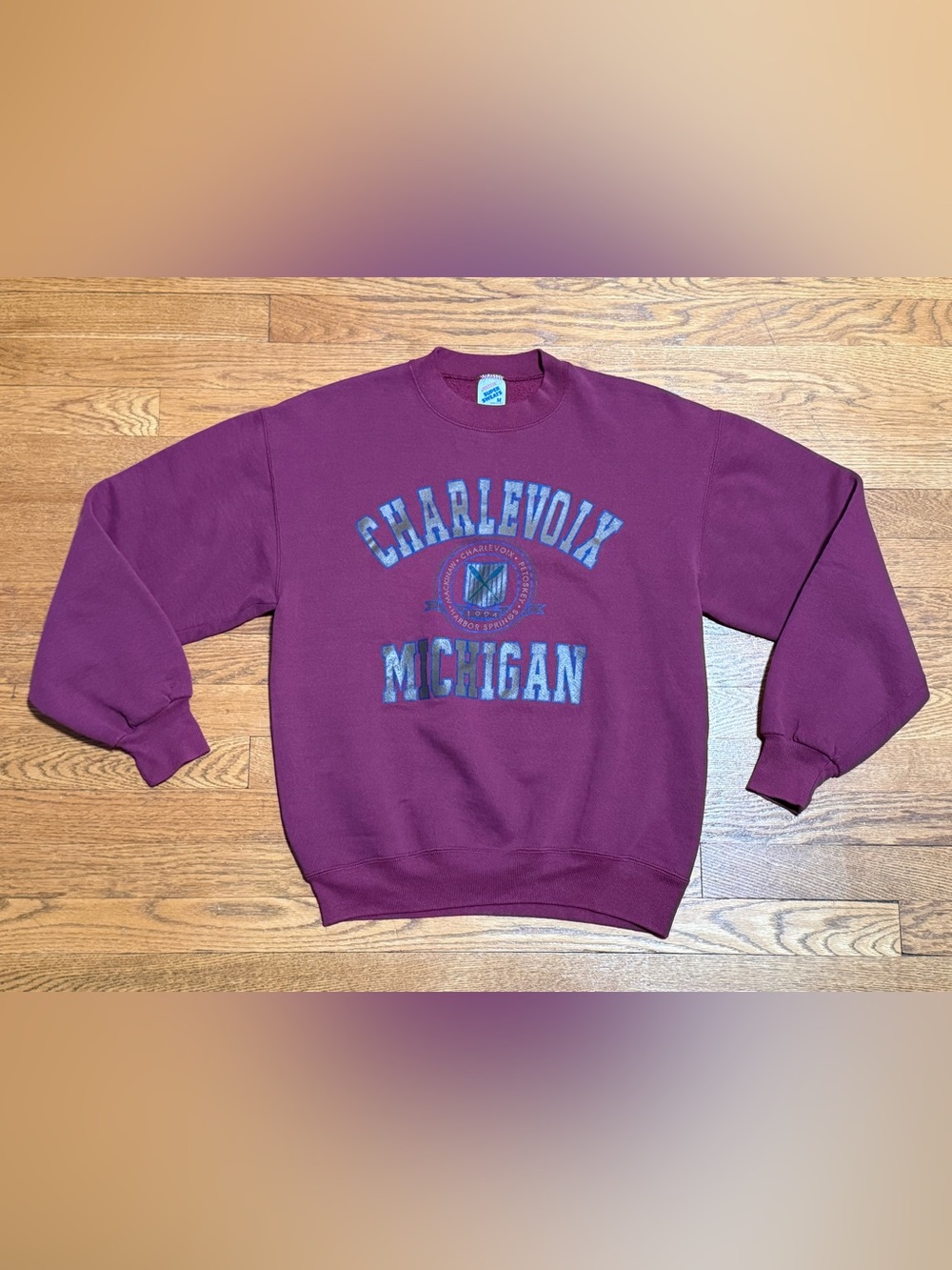 VTG 90s Collegiate Style Charlevoix MI Crewneck Sweatshirt (Med) ‘94 EUC Jerzees